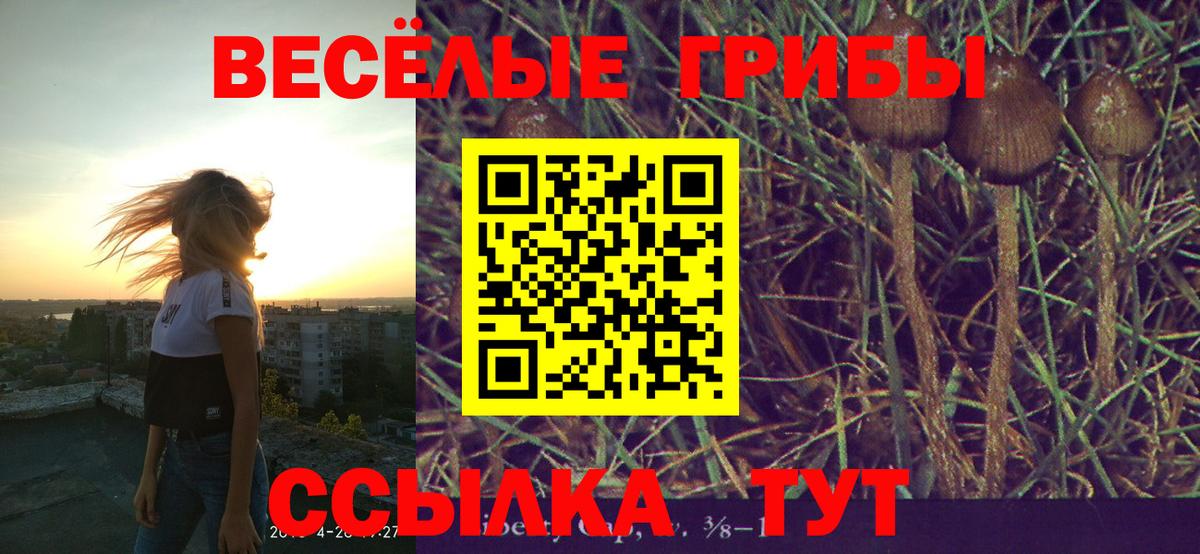 Златоуст  Галлюциногенные грибы мицелий  Вход с VPN 
