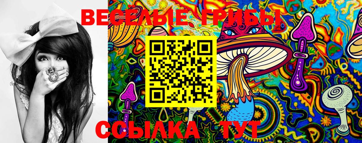 Псилоцибиновые грибы Psilocybine cubensis Златоуст